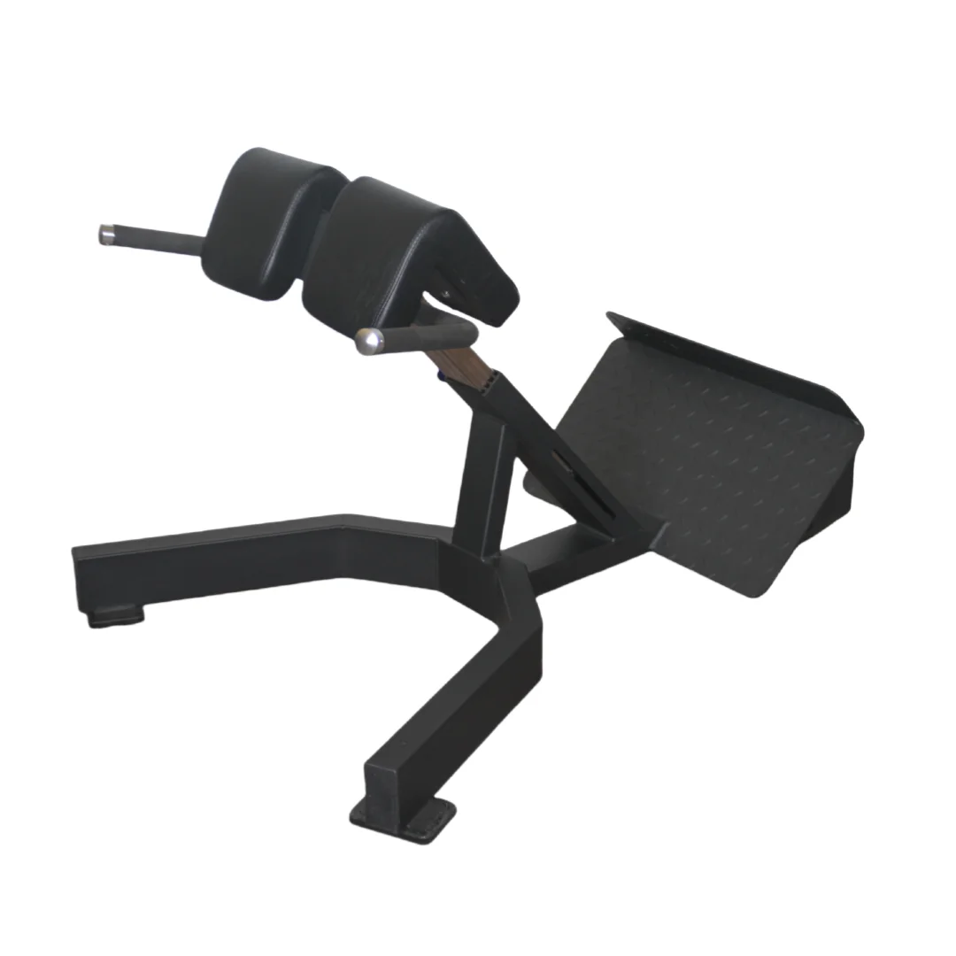 Home Gym Leg Extension - Alat Latihan Punggung Roman Chair Harga