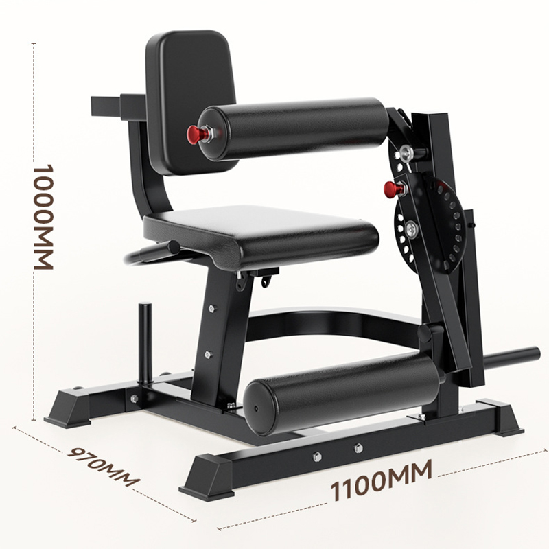 Bangku Latihan 6 Posisi yang D - Home Gym Leg Extension ulasan dan harga