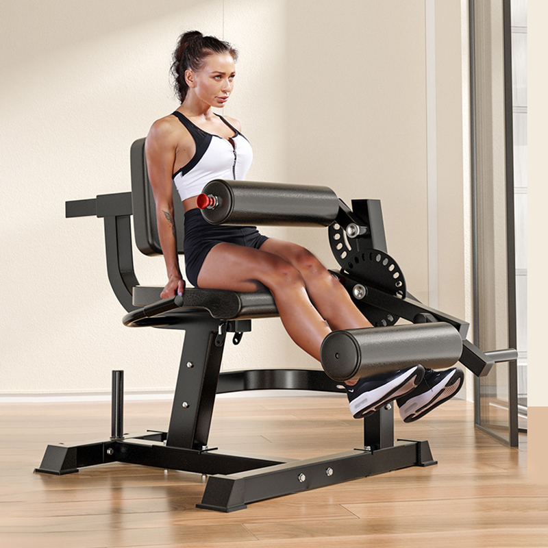 Bangku Latihan 6 Posisi yang D - Home Gym Leg Extension ulasan dan harga