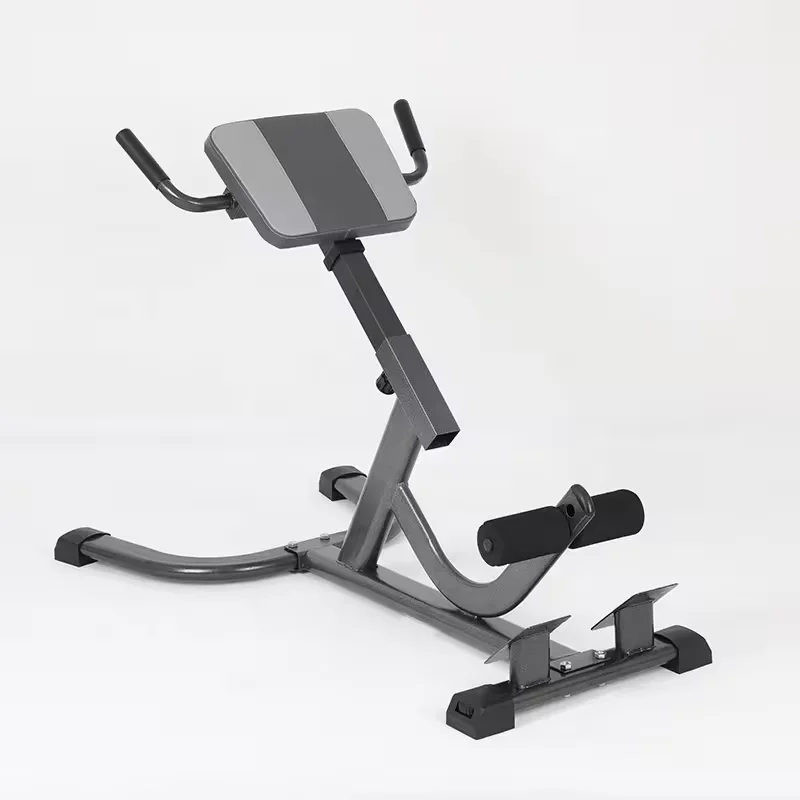 Kursi Latihan Punggung Bawah y - Home Gym Hamstring Exercises ulasan dan harga